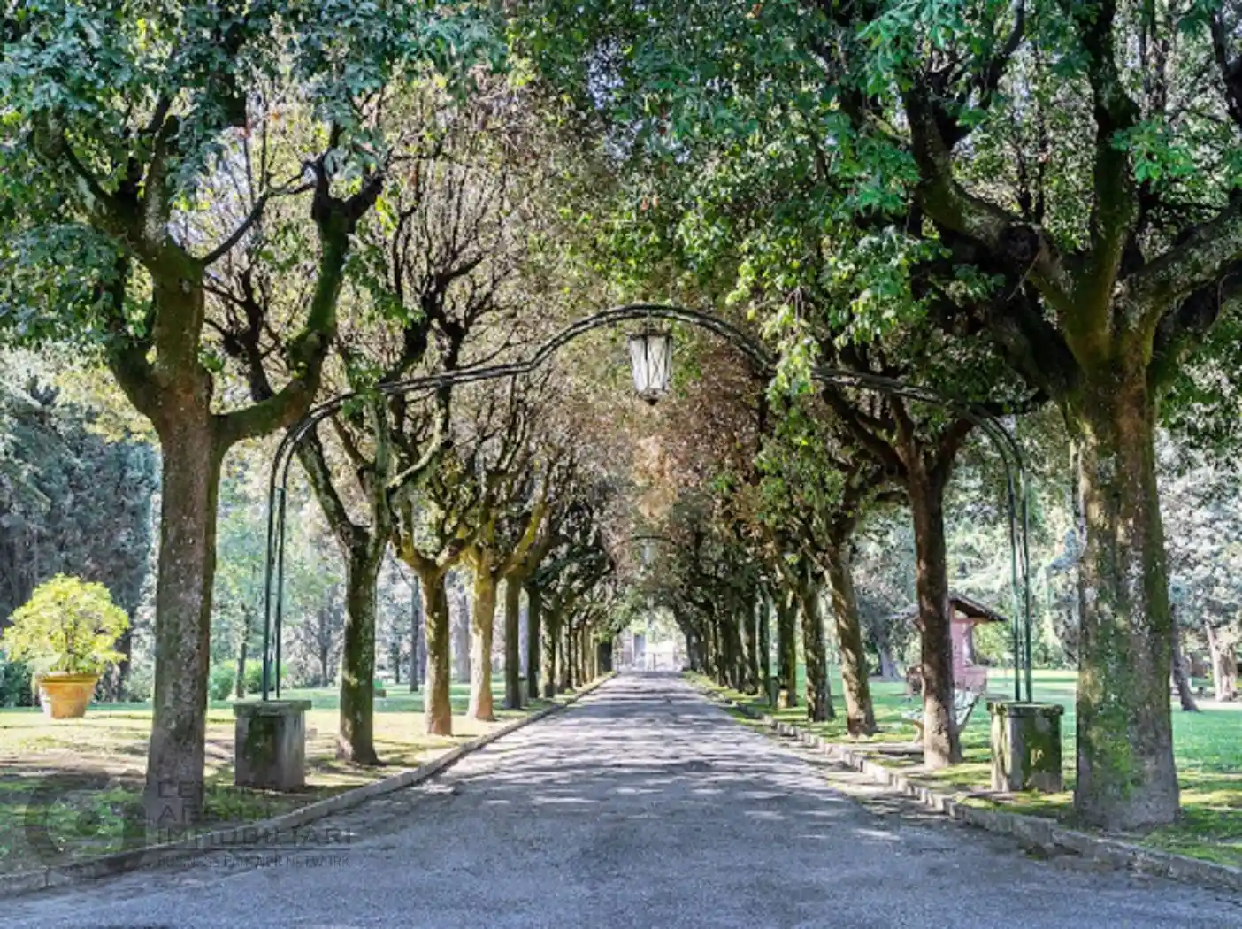 Immobile in affitto a Roma