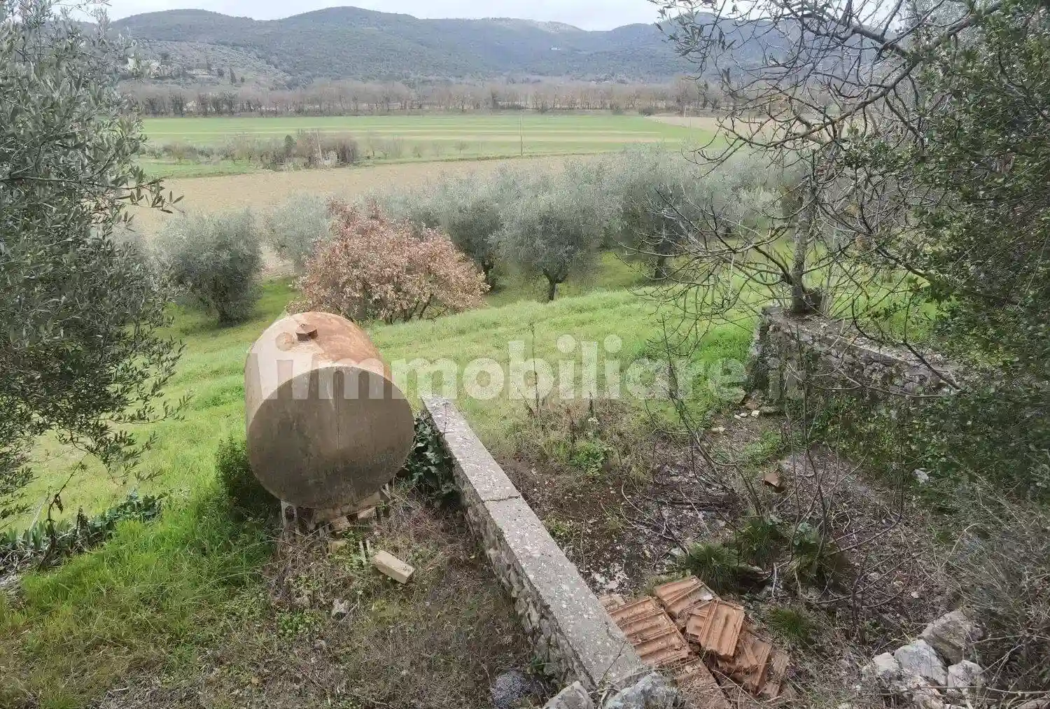 Rustico - Casale - foto 3