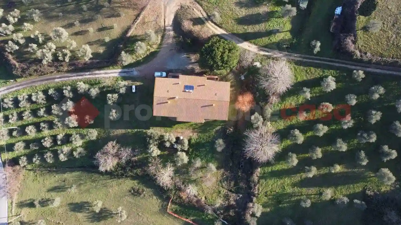 Palazzo - Edificio - foto 5