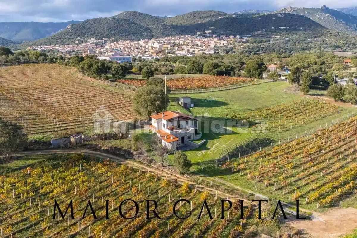 Villa in vendita a Berchidda