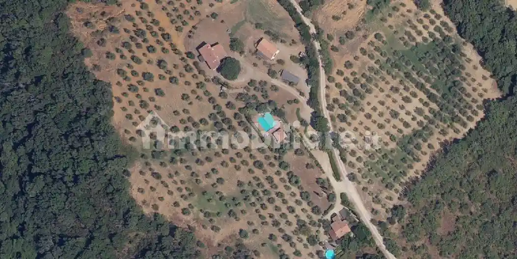 Rustico - Casale in vendita a Scansano