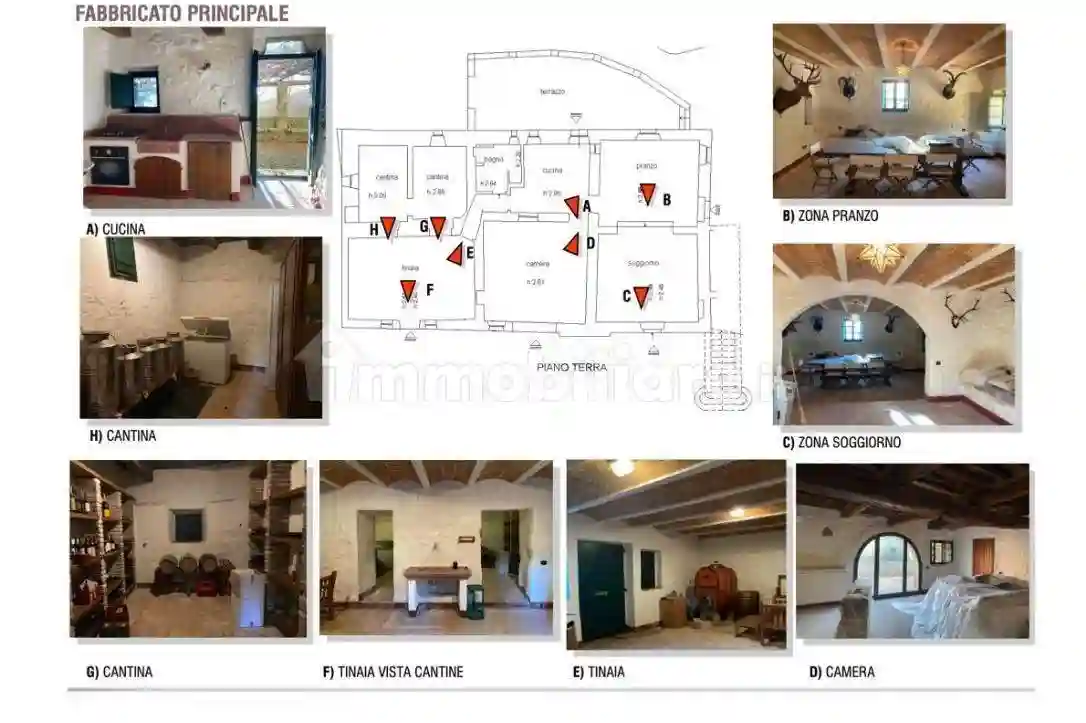 Rustico - Casale - foto 3