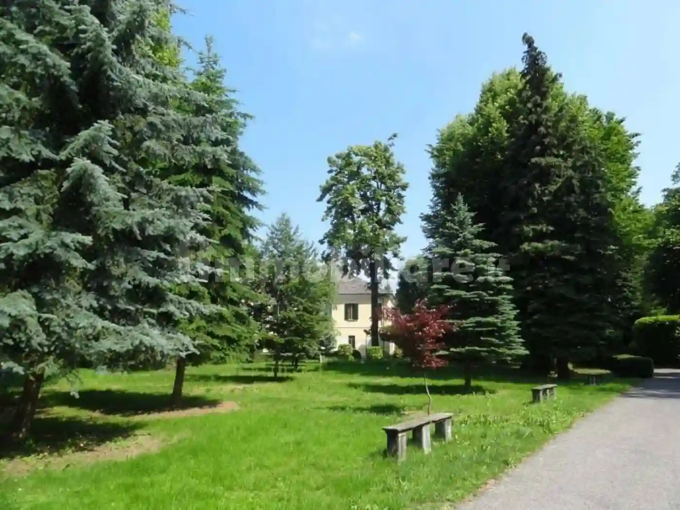 Palazzo - Edificio - foto 5