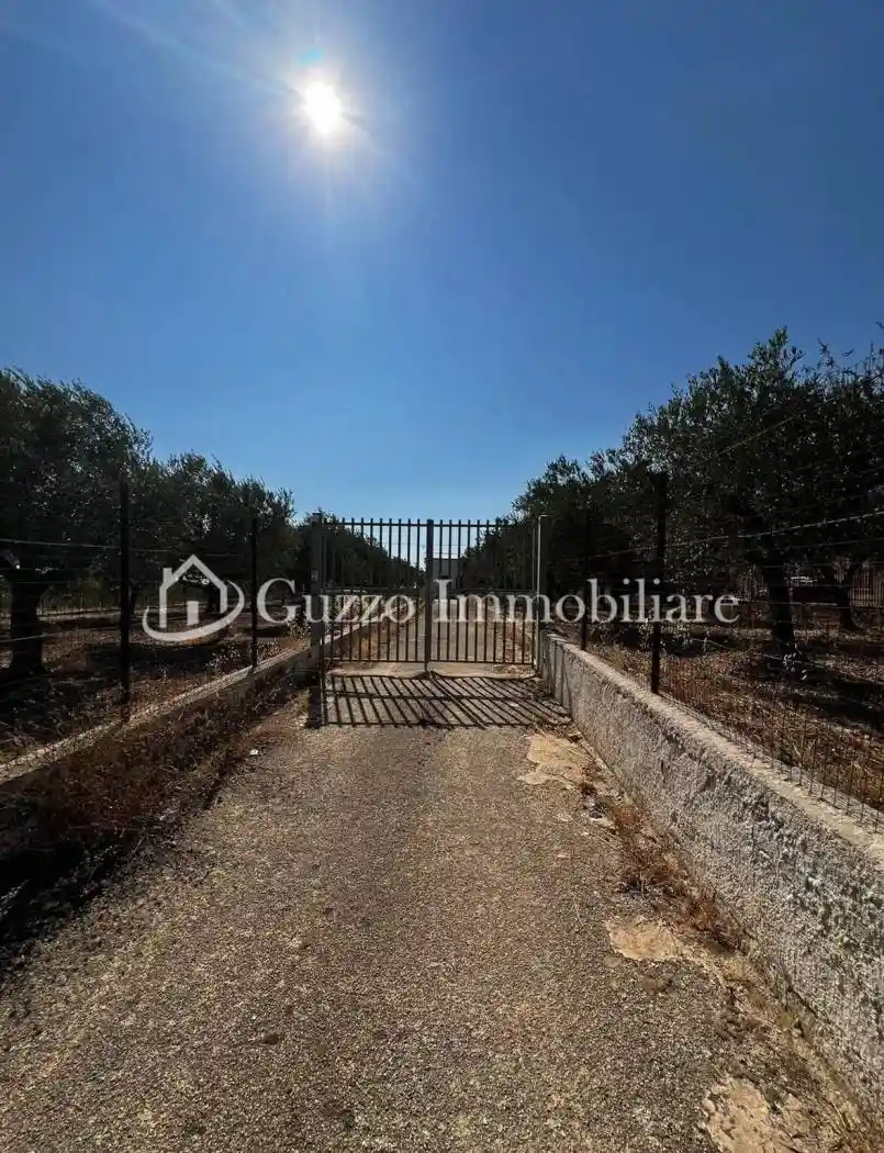 Villa in vendita a Partanna