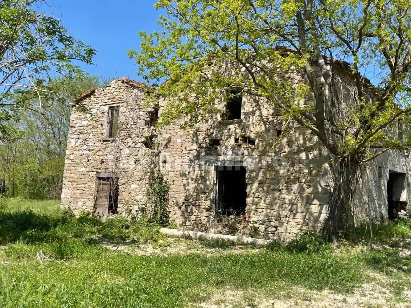 Rustico - Casale in vendita a Mercato Saraceno