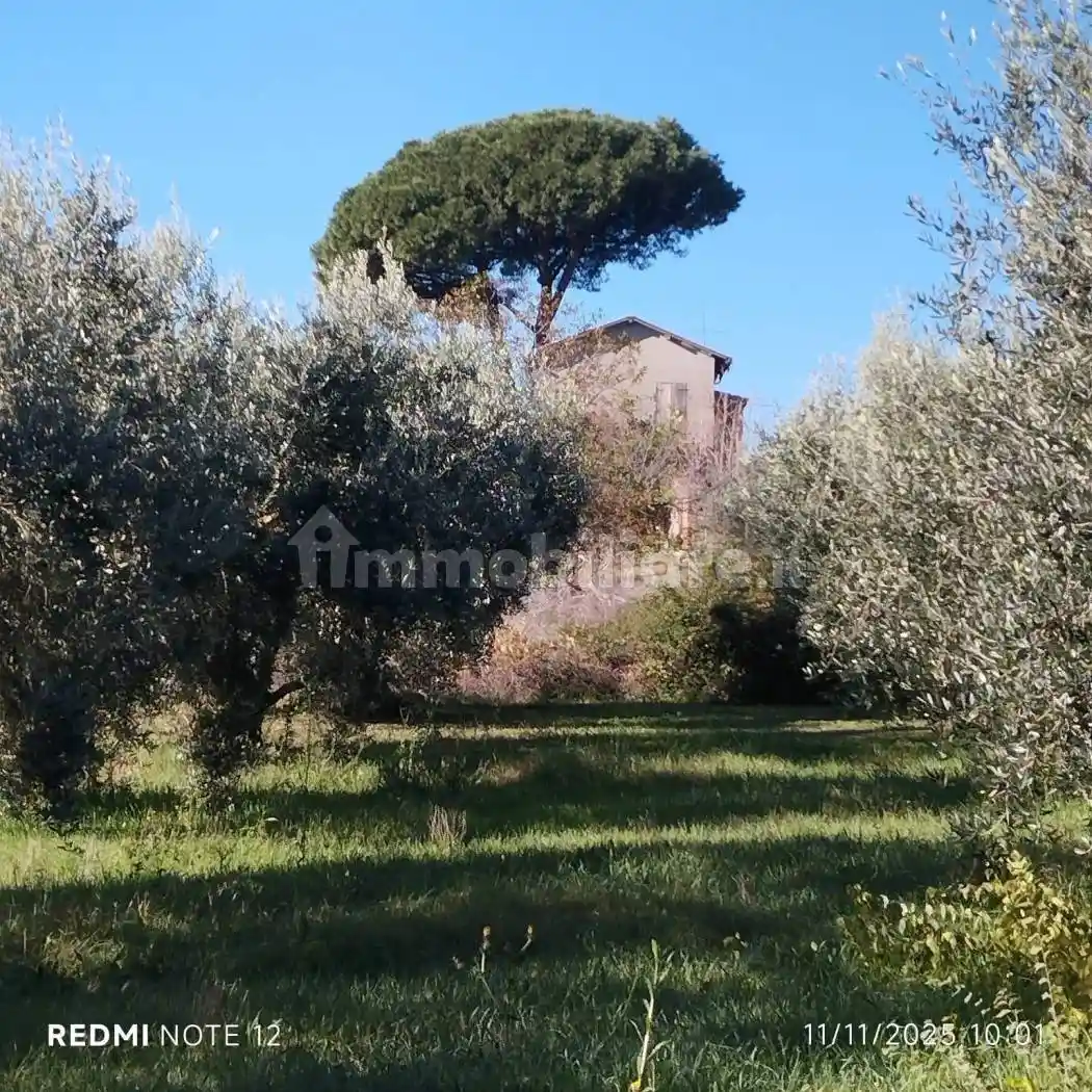 Rustico - Casale in vendita a Velletri