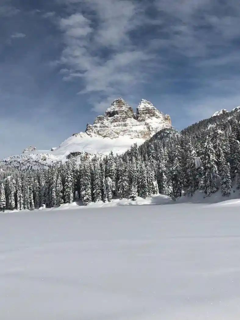 Appartamento in affitto a Auronzo di Cadore