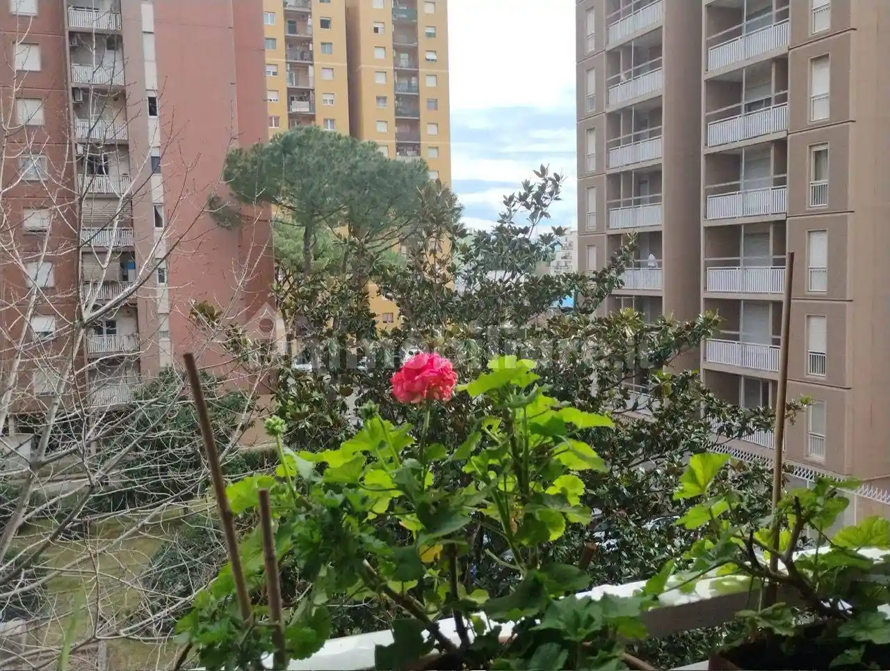 Appartamento in affitto a Roma