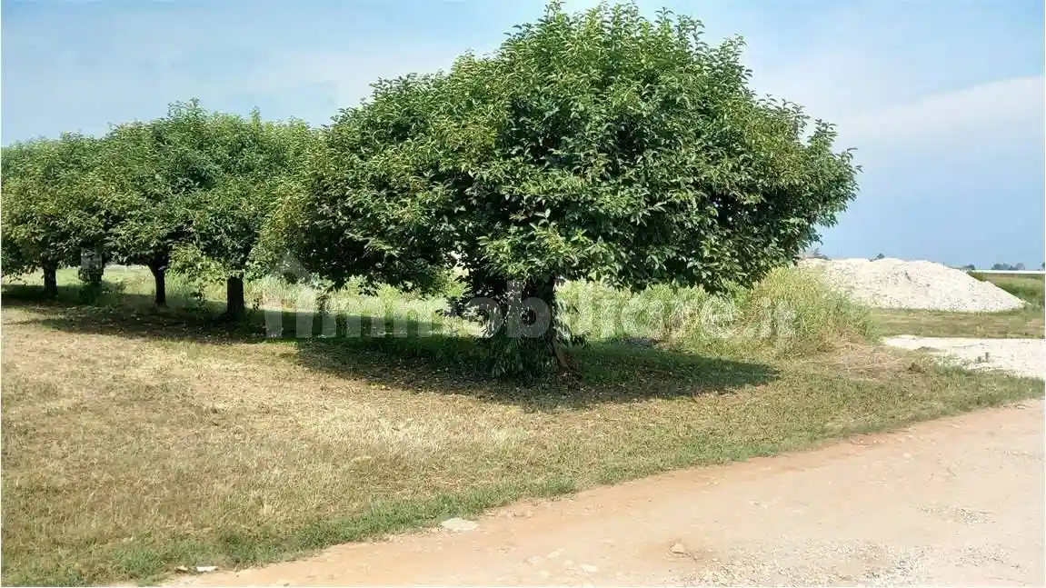 Appartamento in vendita a Verona