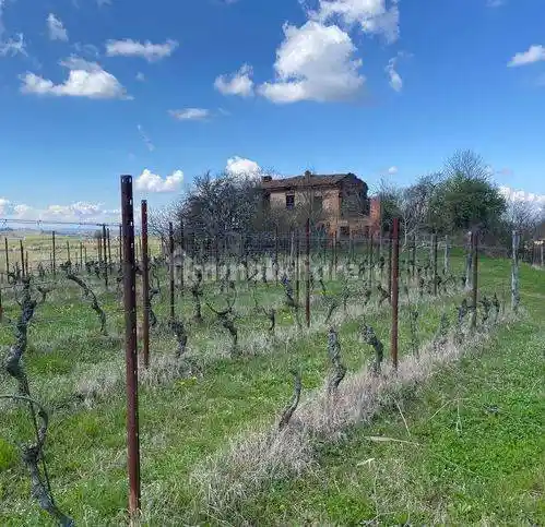 Rustico - Casale in vendita a Maranzana