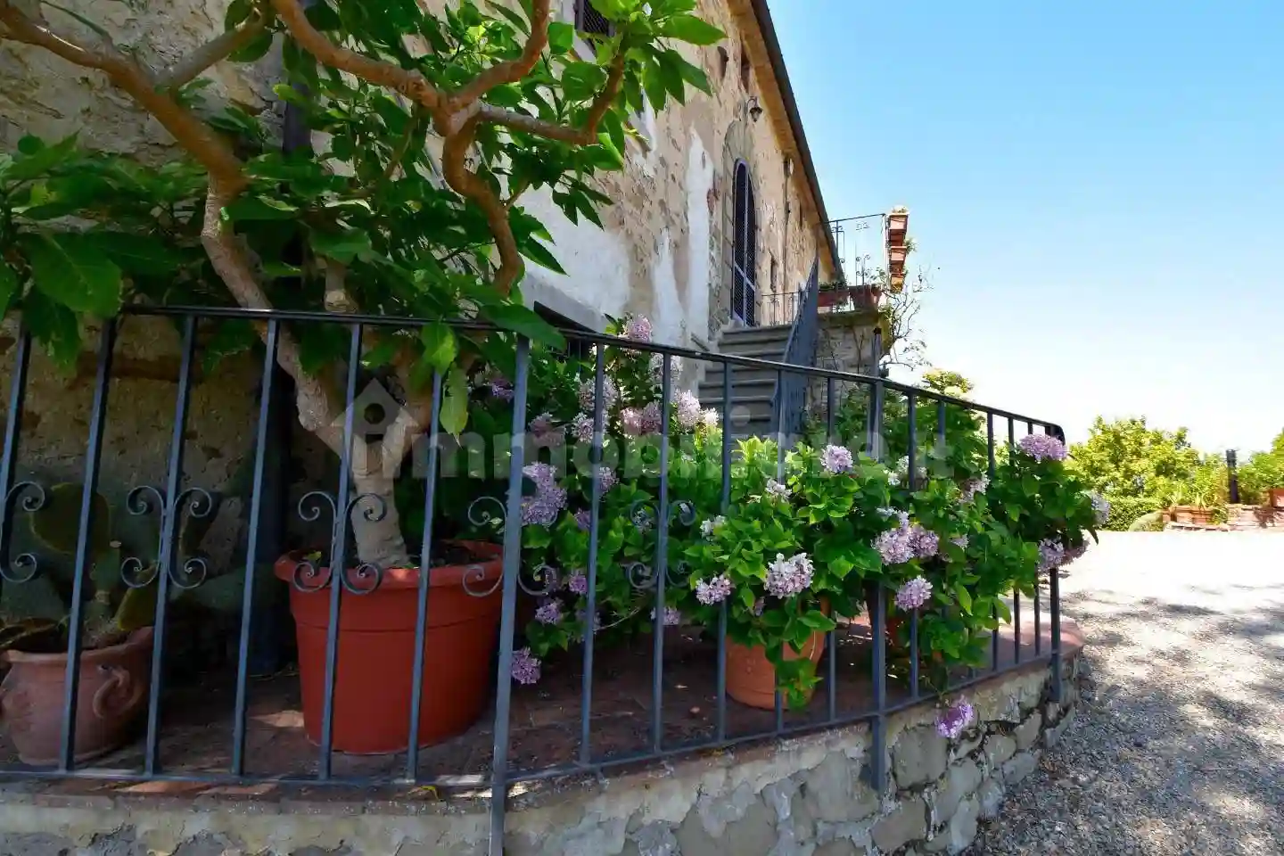 Rustico - Casale - foto 4