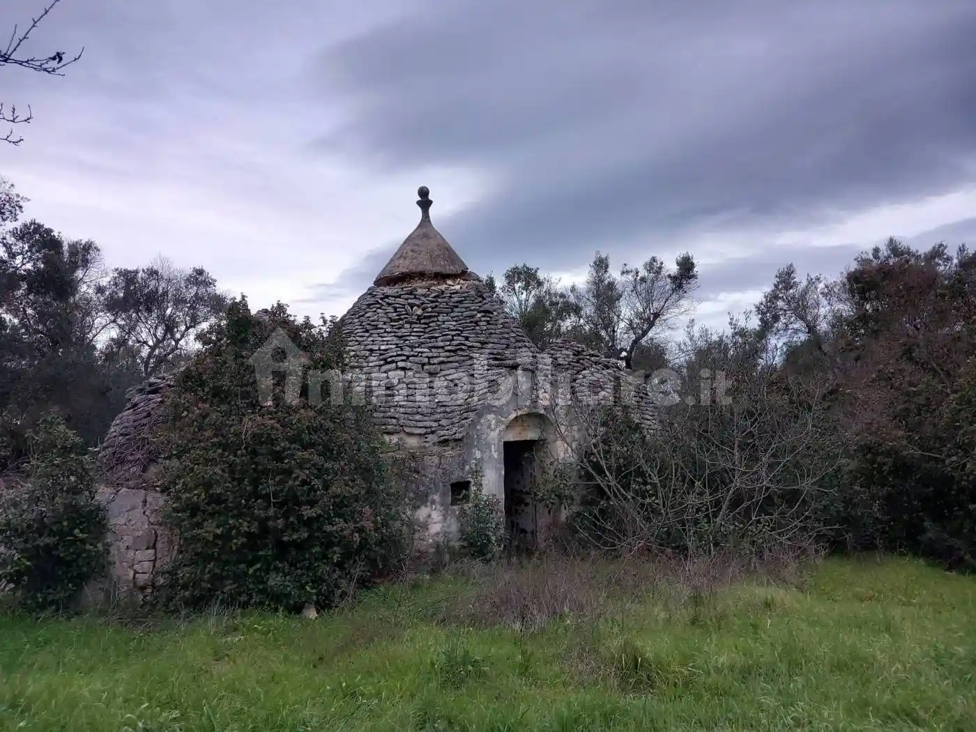 Rustico - Casale in vendita a Ceglie Messapica
