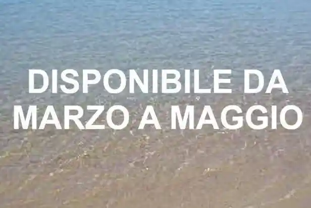 Appartamento in affitto a Cesenatico