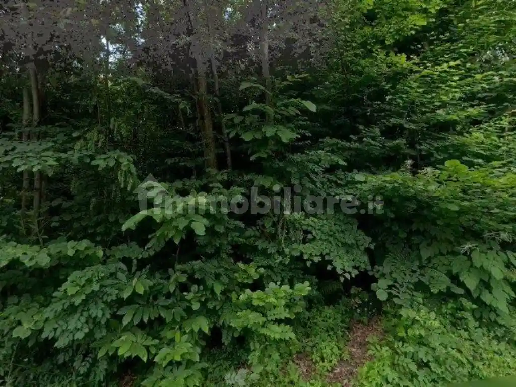 Appartamento in vendita a Lusernetta