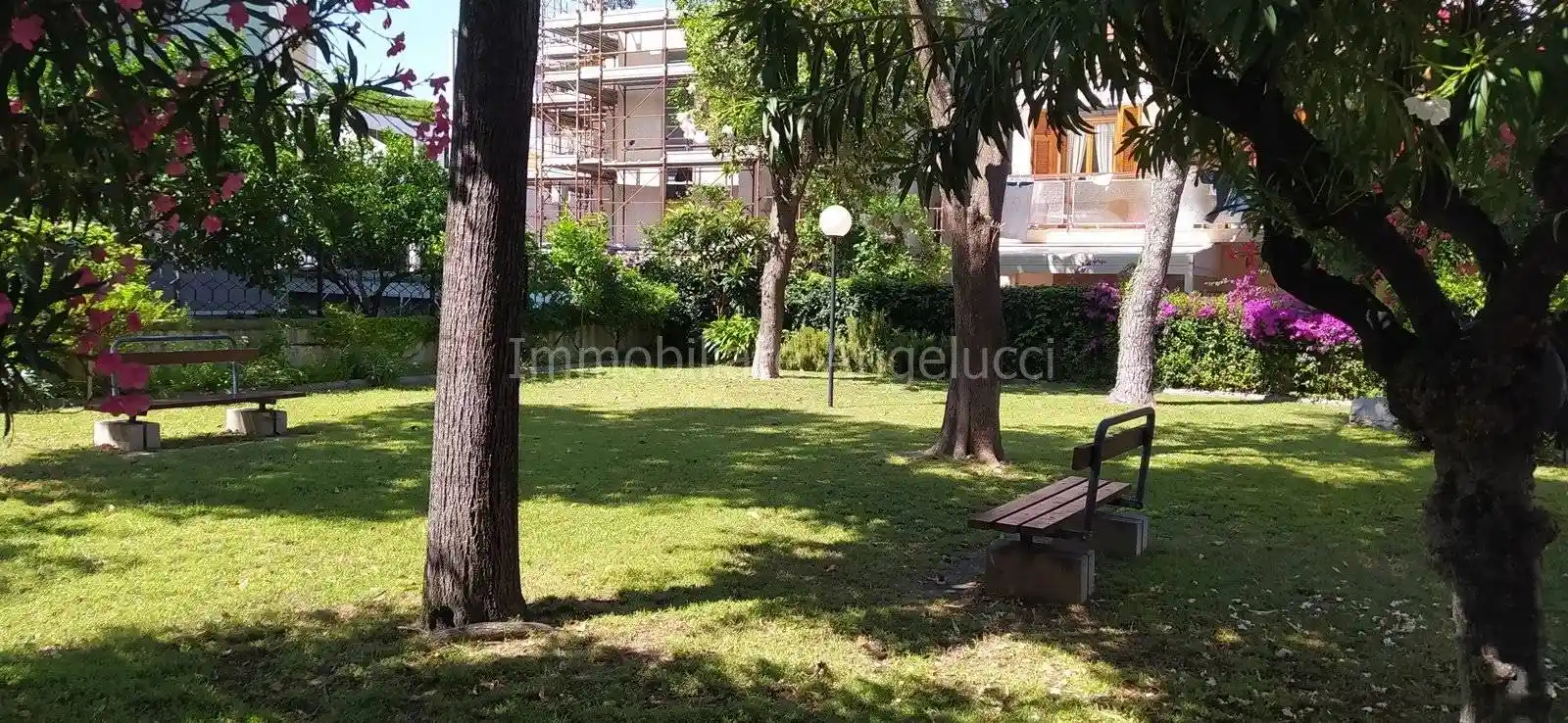 Appartamento in affitto a Loano