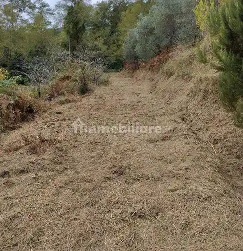 Rustico - Casale in vendita a Camaiore