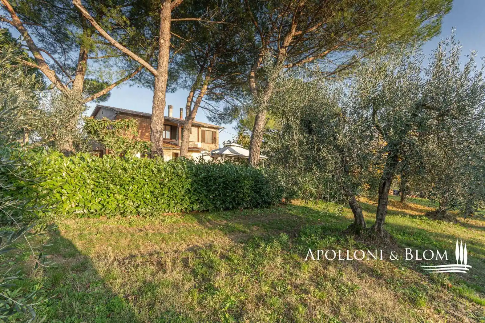 Rustico - Casale in vendita a Montepulciano