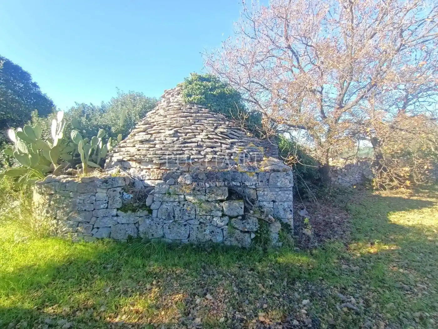 Rustico - Casale in vendita a Castellana Grotte