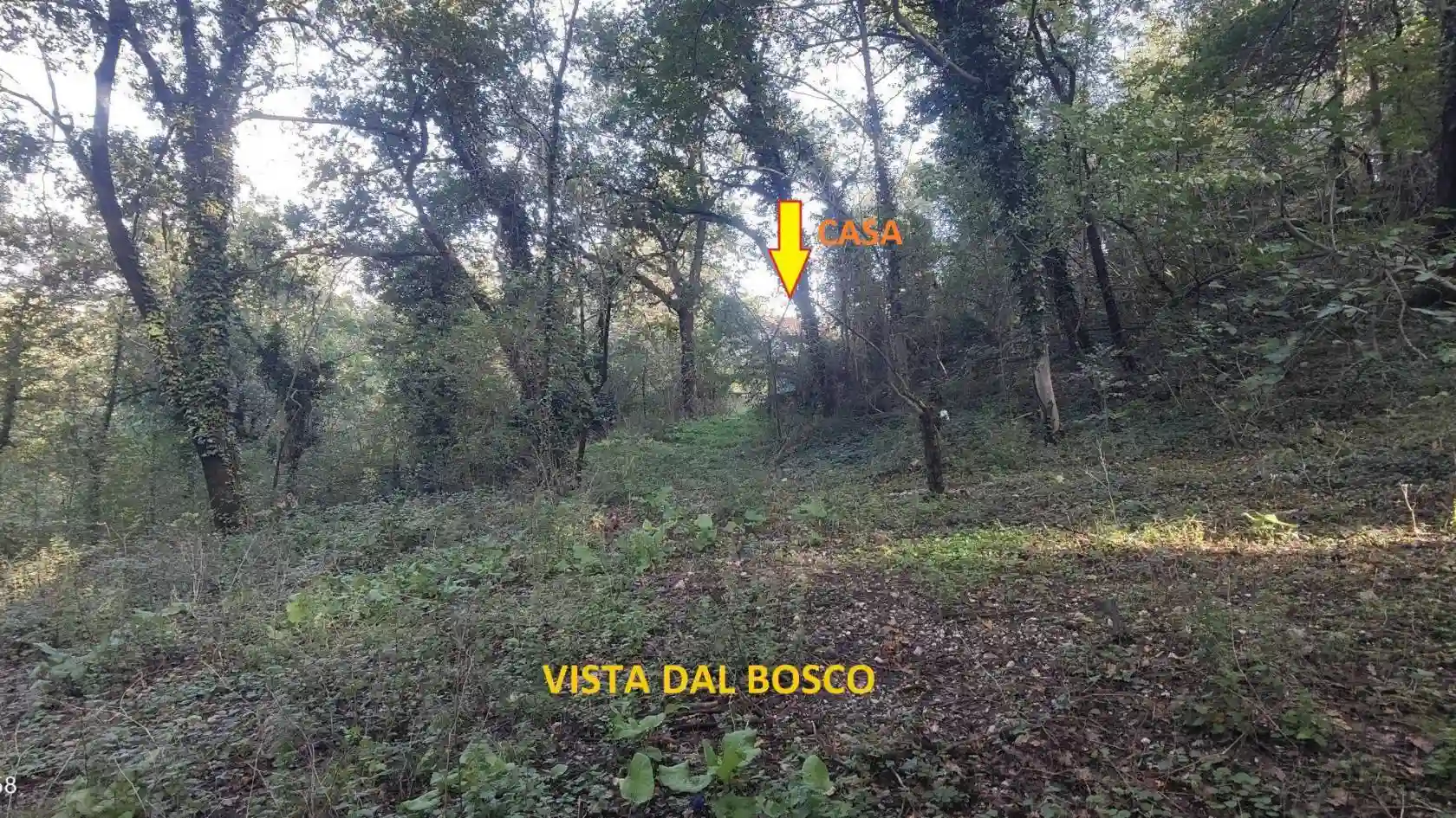 Casa indipendente - foto 4