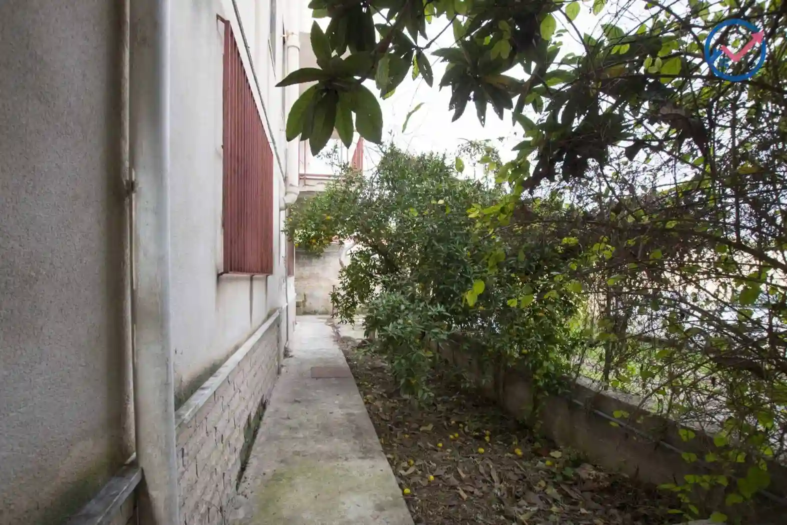 Palazzo - Edificio - foto 5