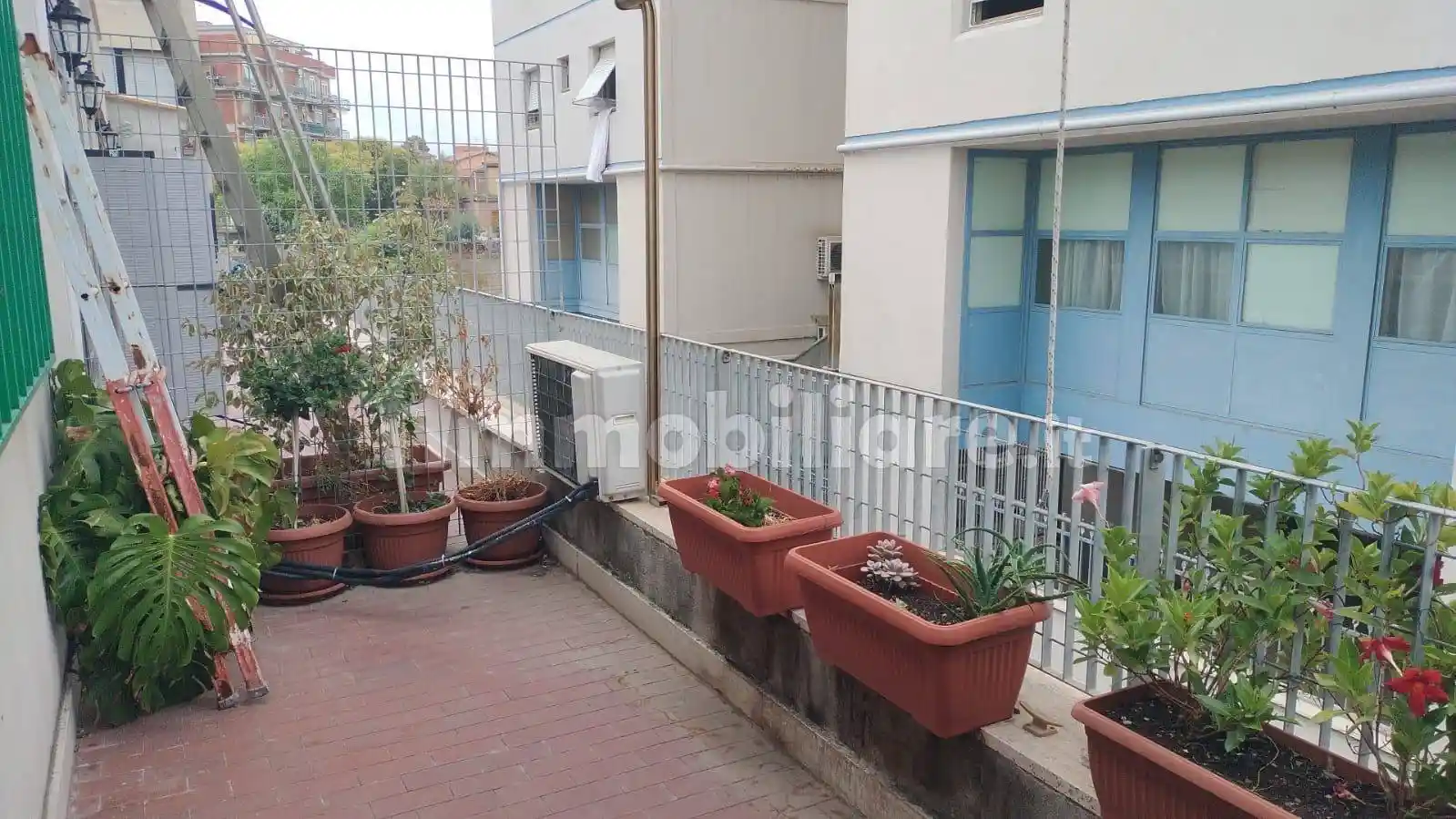 Appartamento in affitto a Roma