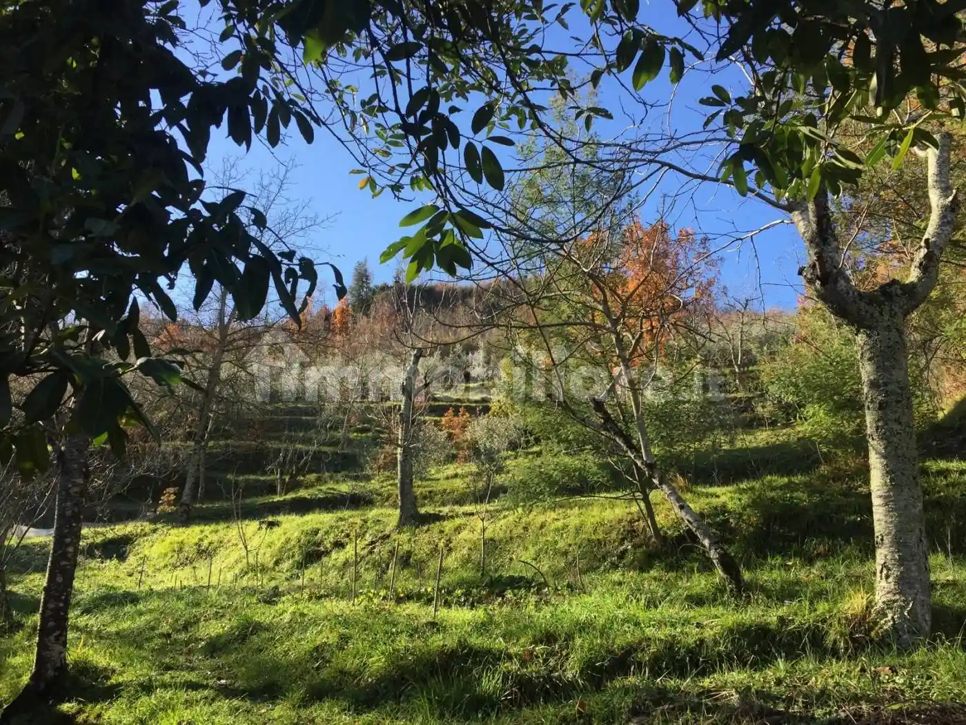 Villa in vendita a Gerano