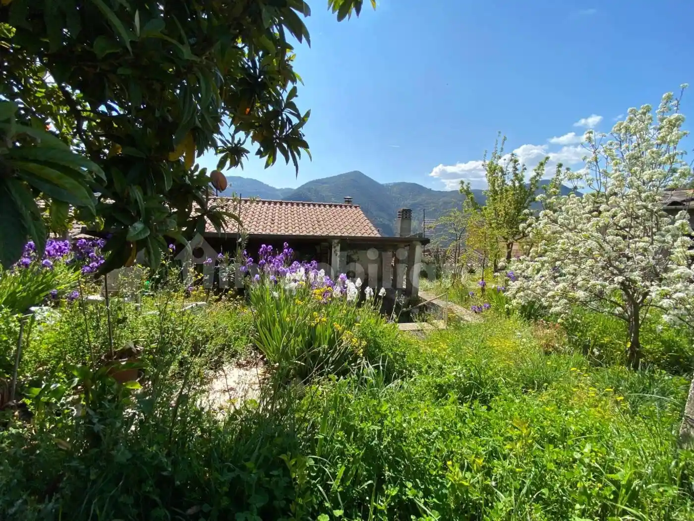 Appartamento in vendita a Terni