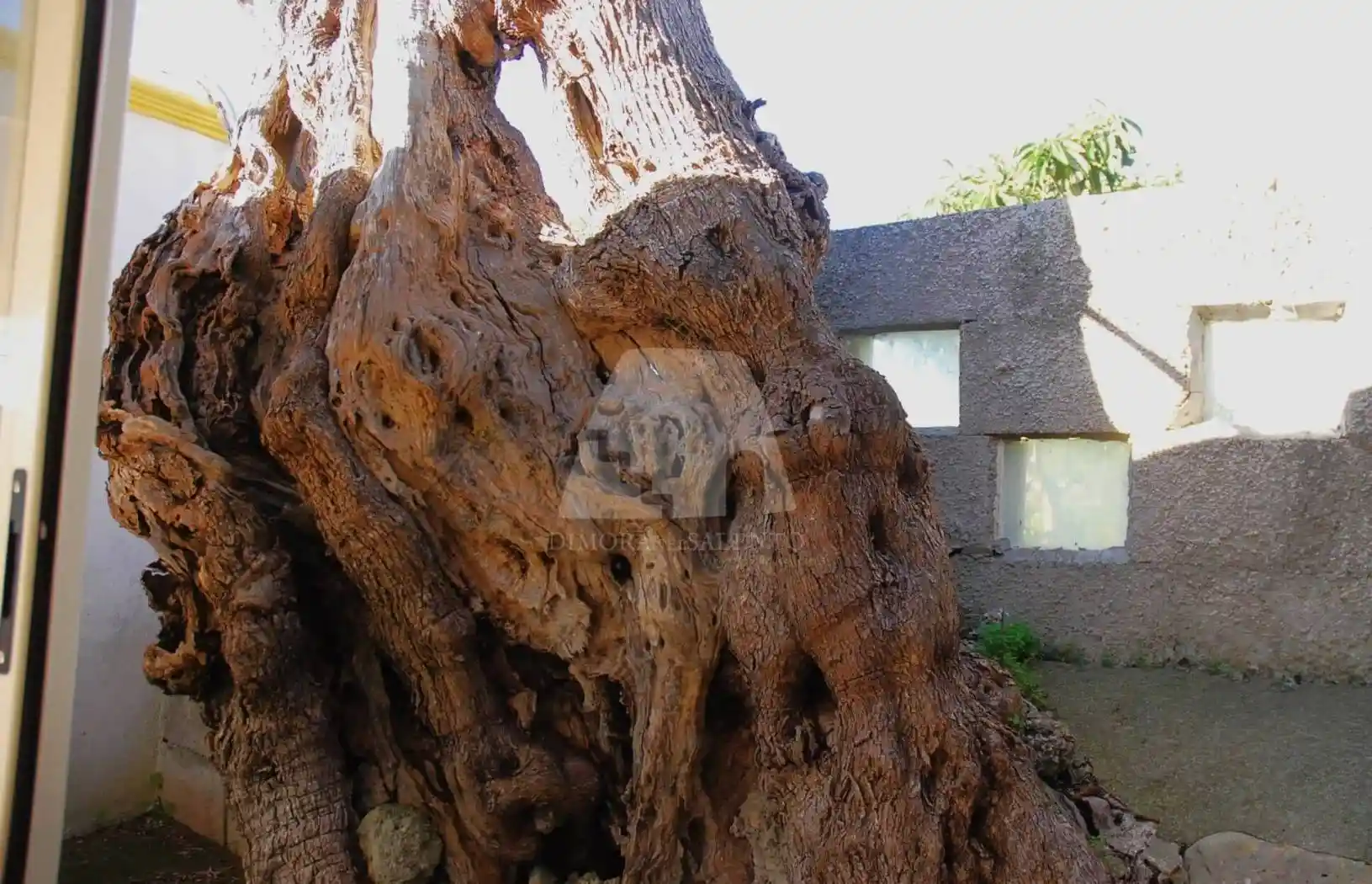 Appartamento in vendita a Salve