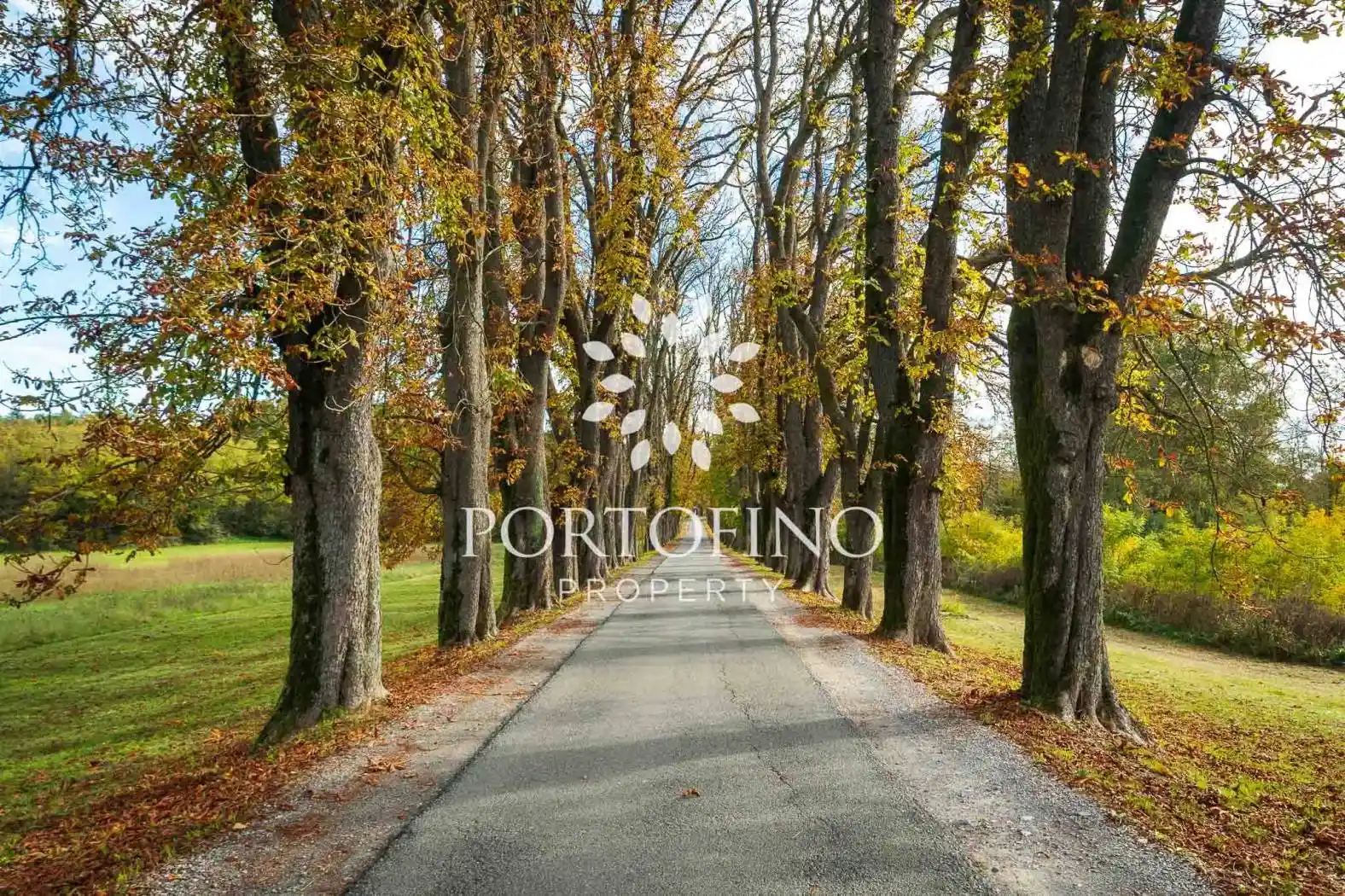 Villa in vendita a Castelletto d'Orba