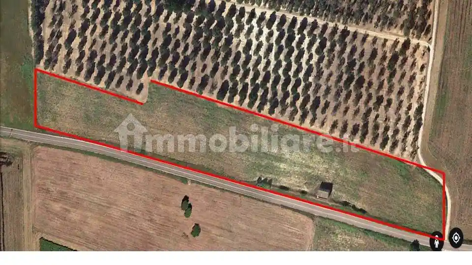 Rustico - Casale in vendita a Torchiarolo