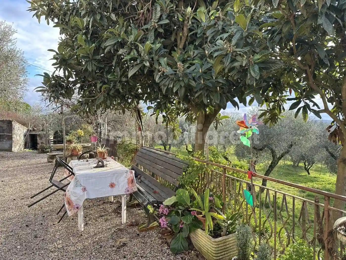 Rustico - Casale - foto 3