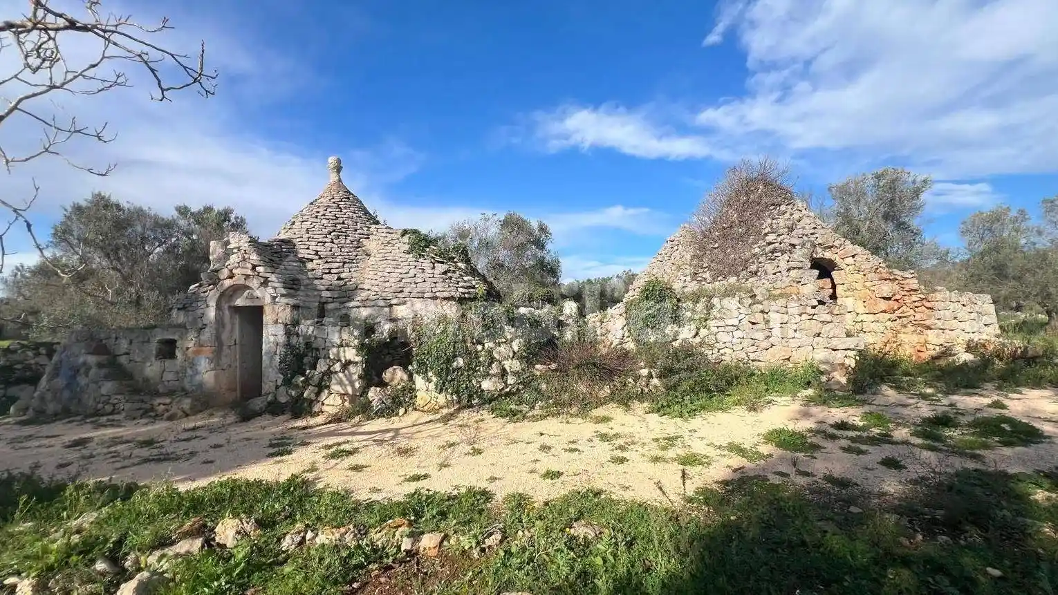 Rustico - Casale in vendita a Ceglie Messapica