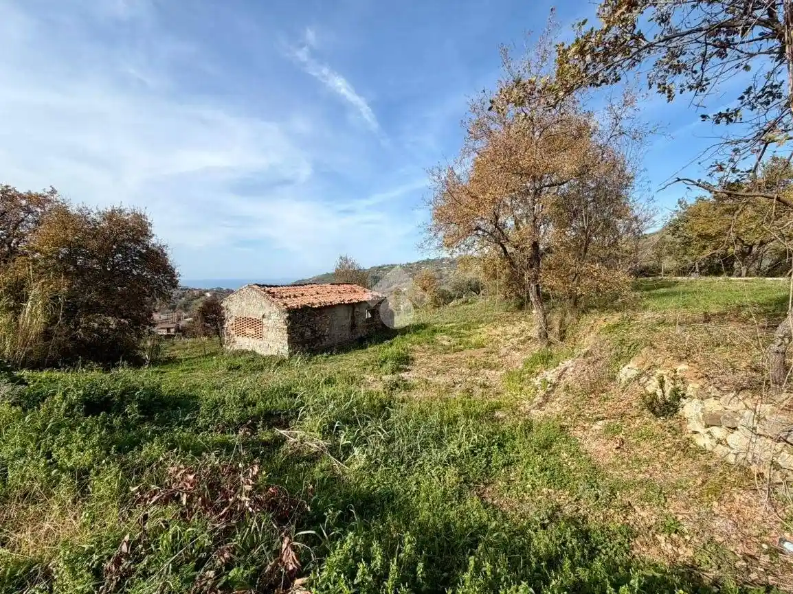 Rustico - Casale in vendita a Buonvicino