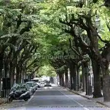 Appartamento in vendita a Albenga