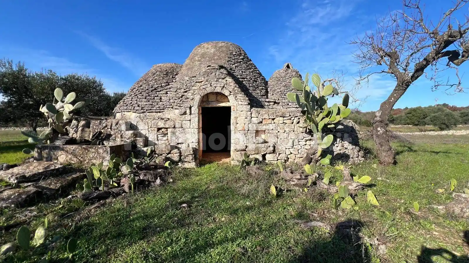 Rustico - Casale in vendita a Ceglie Messapica