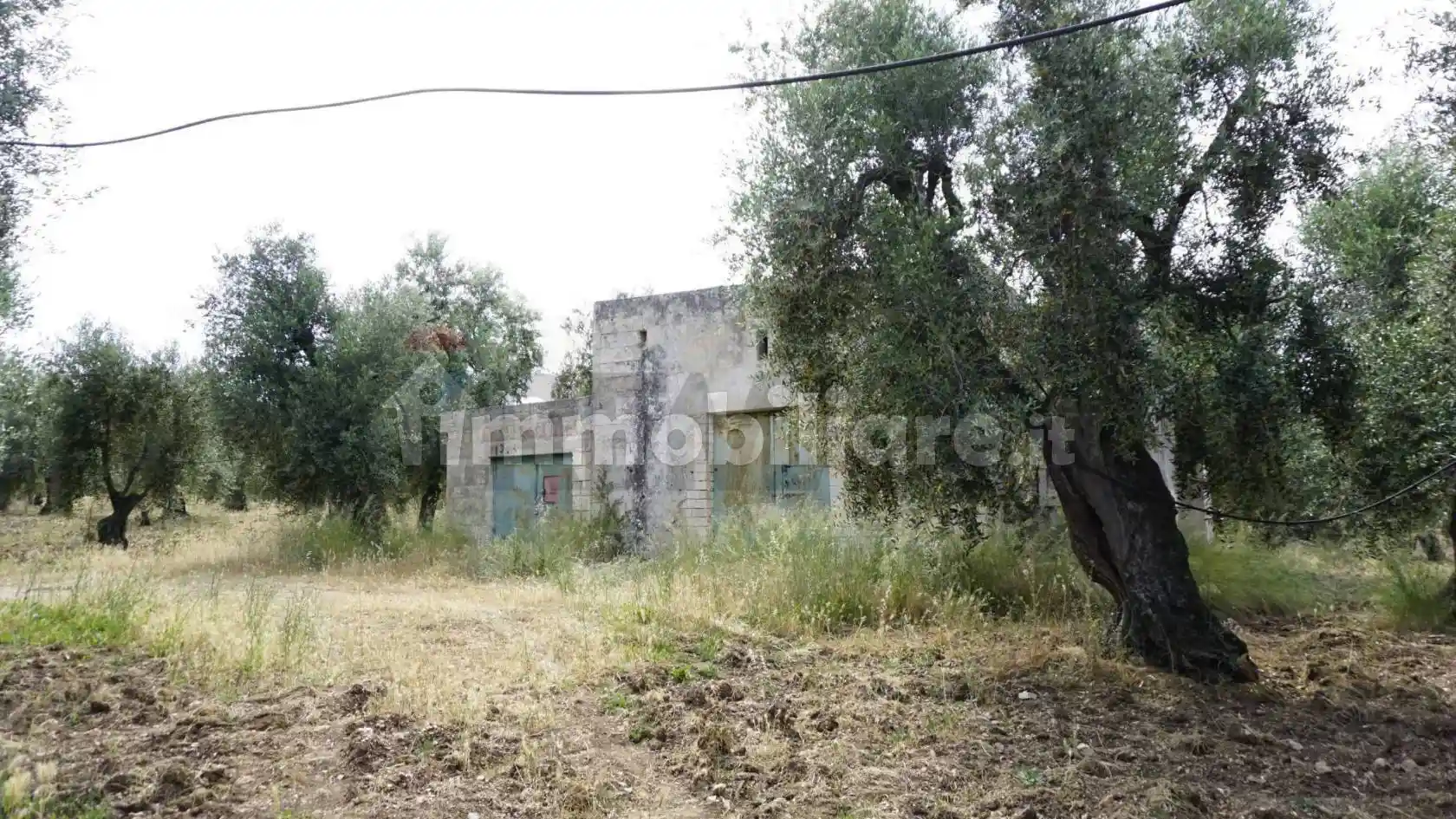 Rustico - Casale in vendita a Vieste