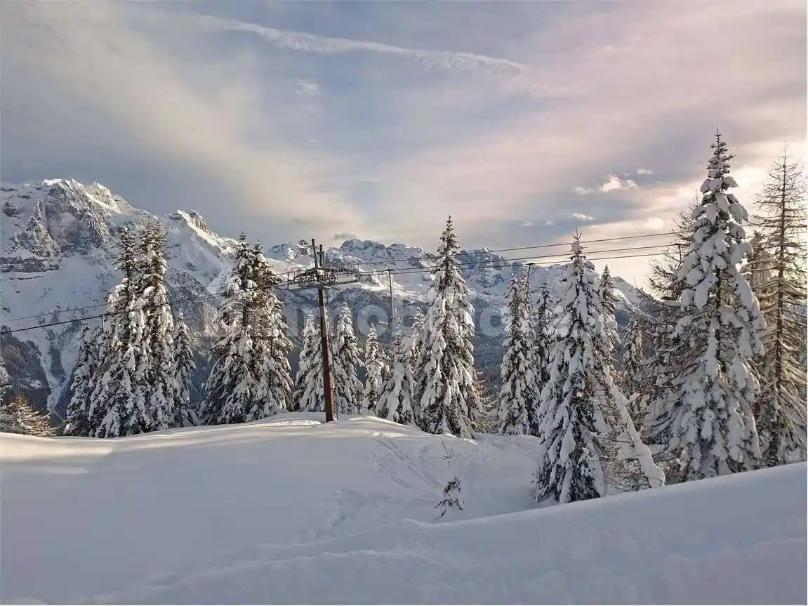 Appartamento in affitto a Dimaro Folgarida