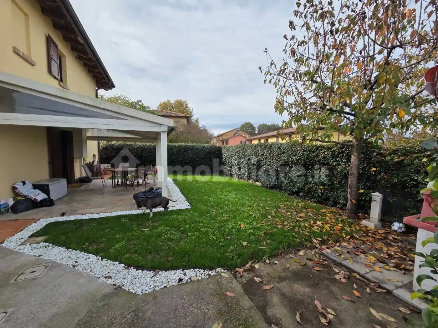 Appartamento in affitto a Bologna