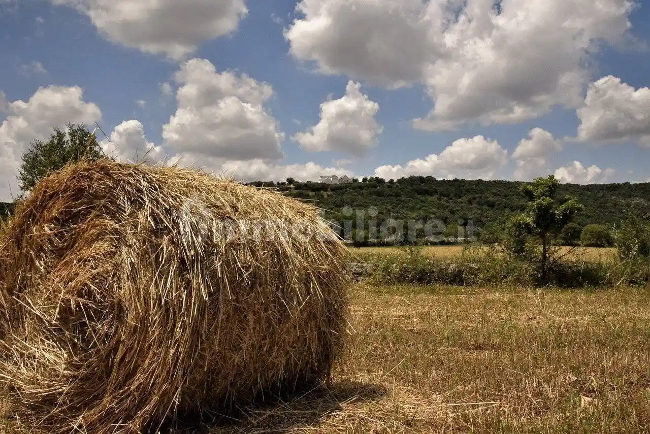 Rustico - Casale in vendita a Martignano