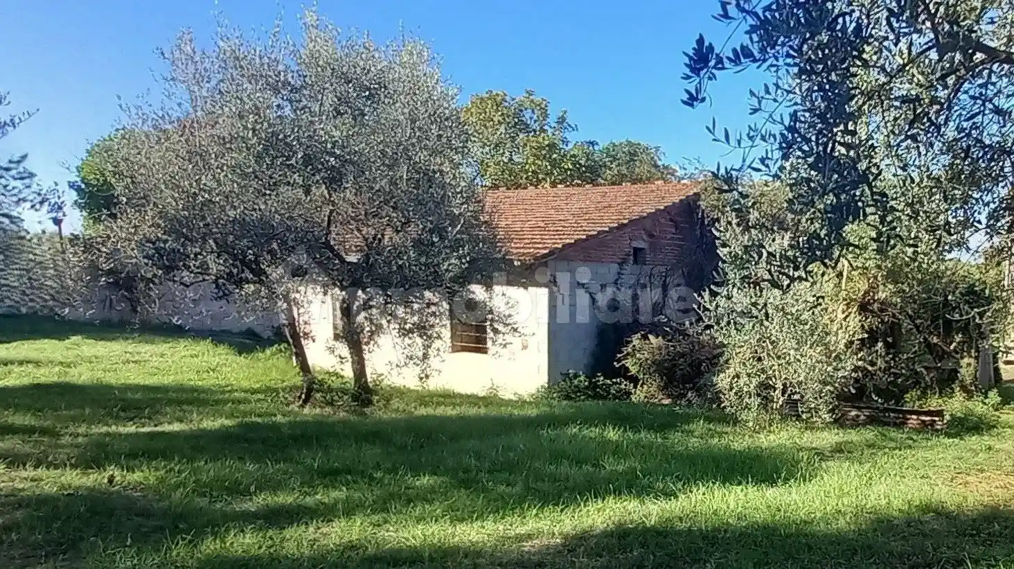 Rustico - Casale in vendita a Santa Maria a Monte