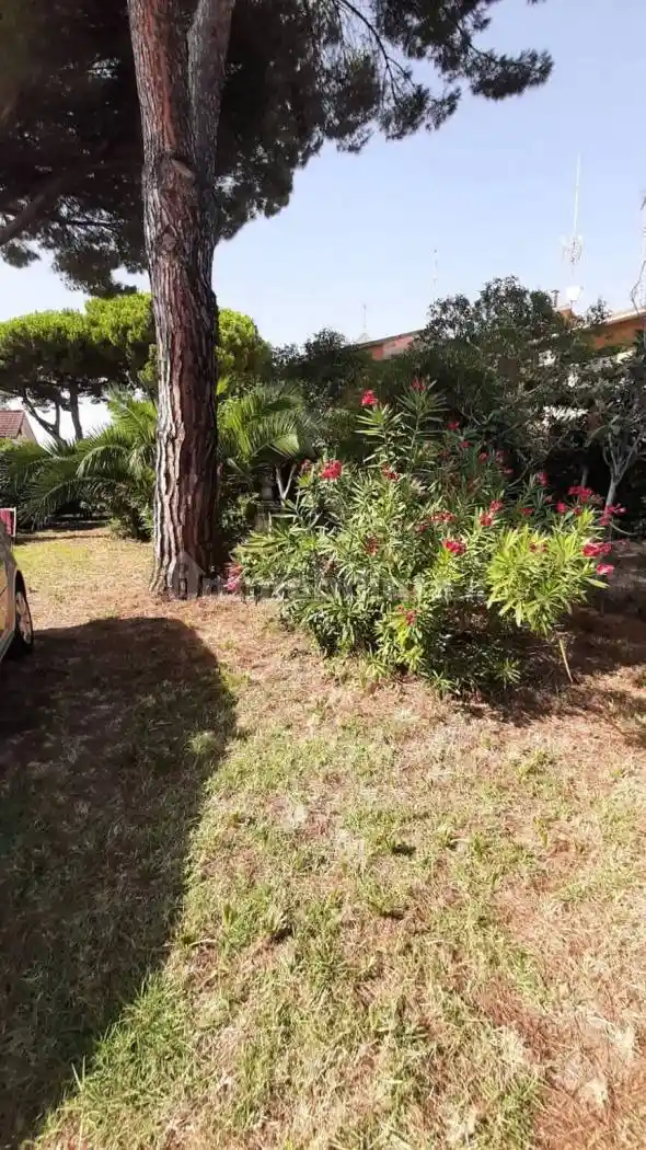 Villa in vendita a Rosignano Marittimo