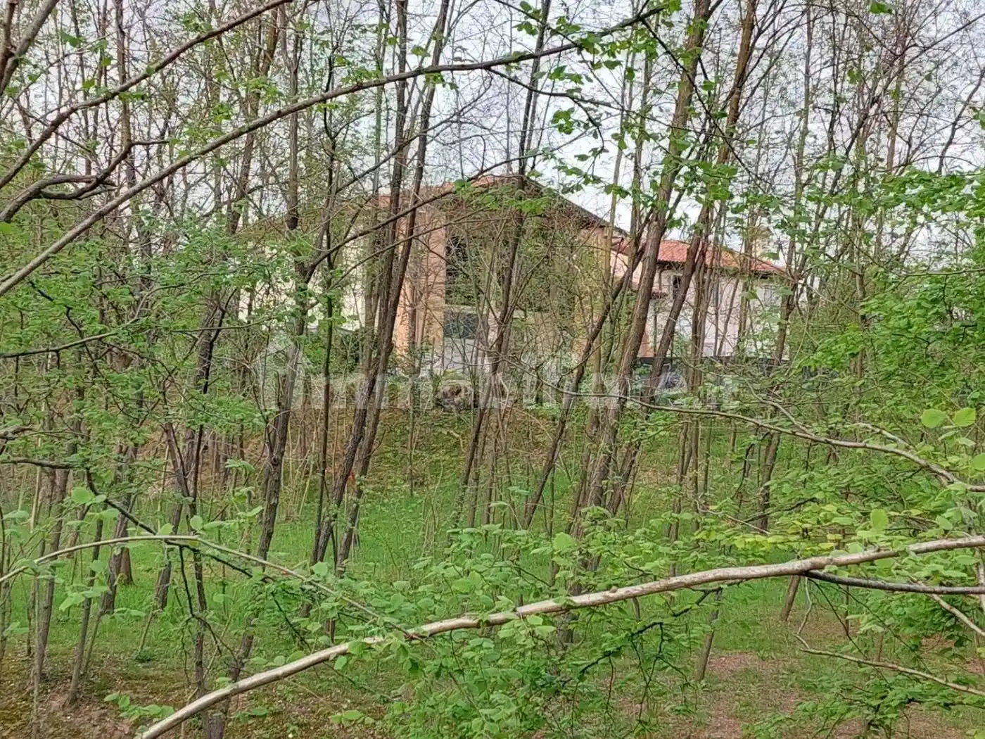 Villa in vendita a Fonte