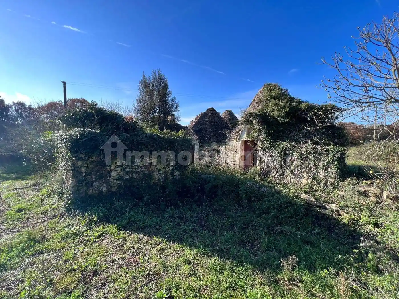 Rustico - Casale in vendita a Martina Franca