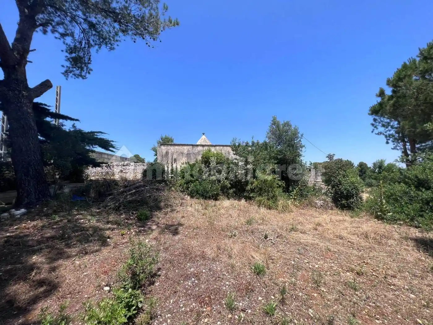 Rustico - Casale in vendita a Martina Franca