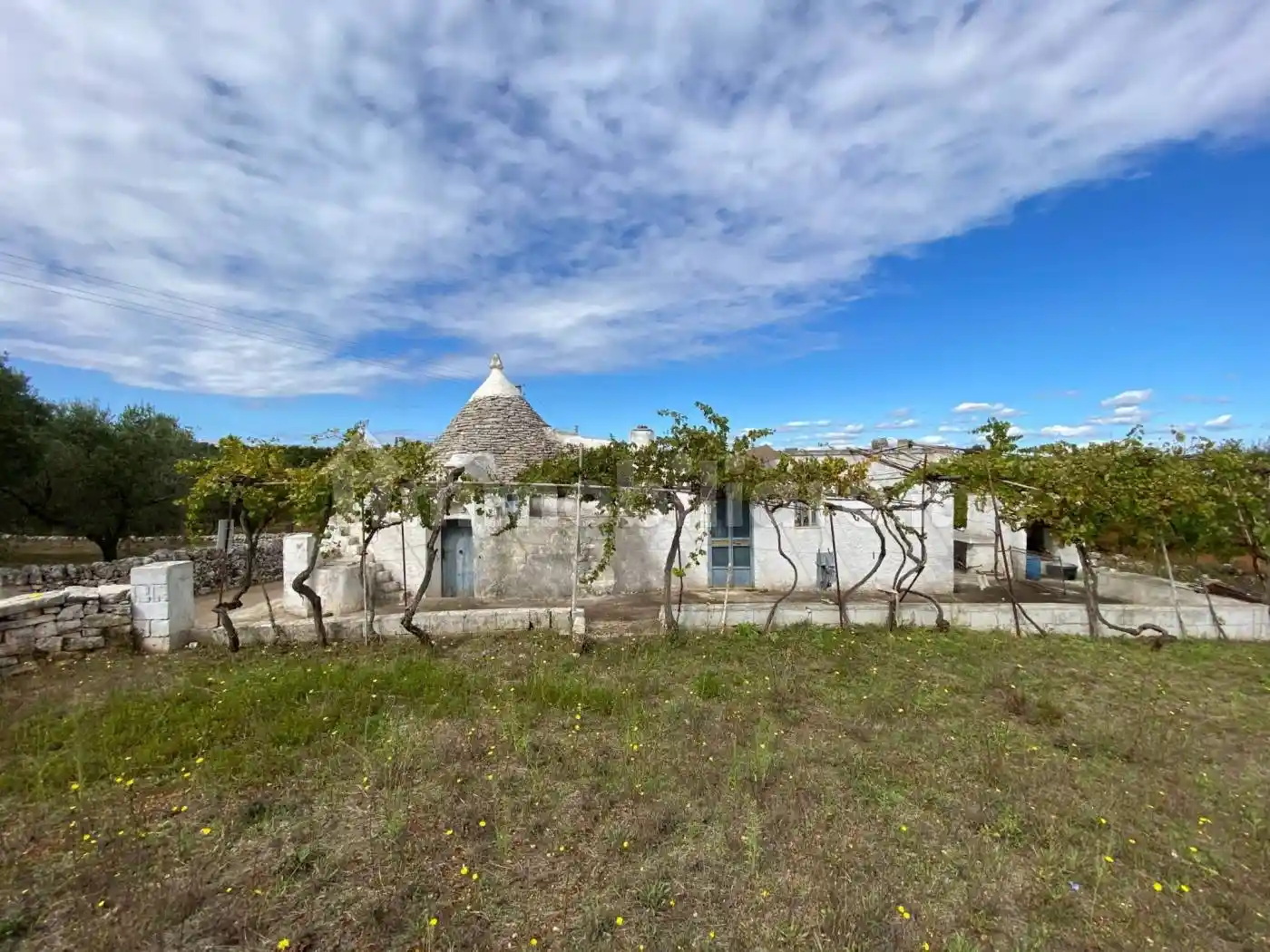 Rustico - Casale in vendita a Martina Franca