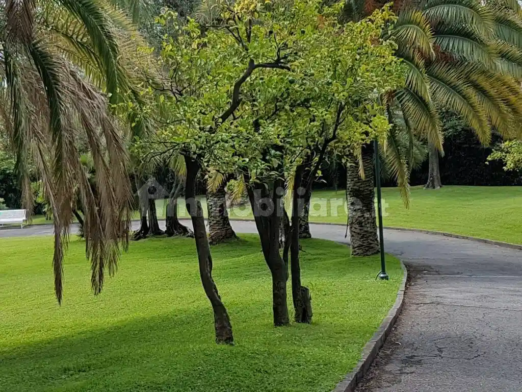 Appartamento in affitto a Genova