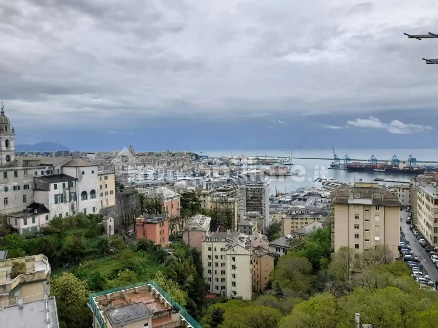 Appartamento in affitto a Genova