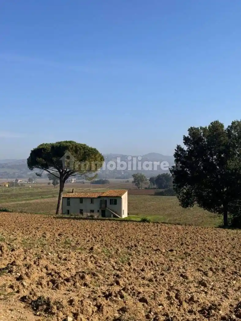 Rustico - Casale in vendita a Marsciano