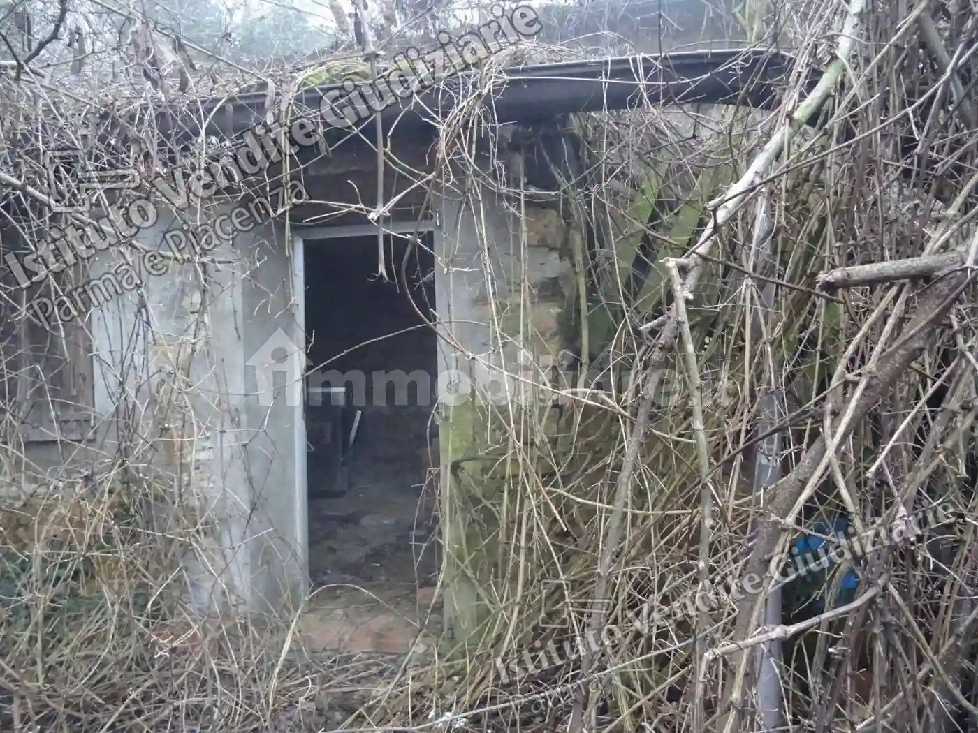 Palazzo - Stabile - foto 2