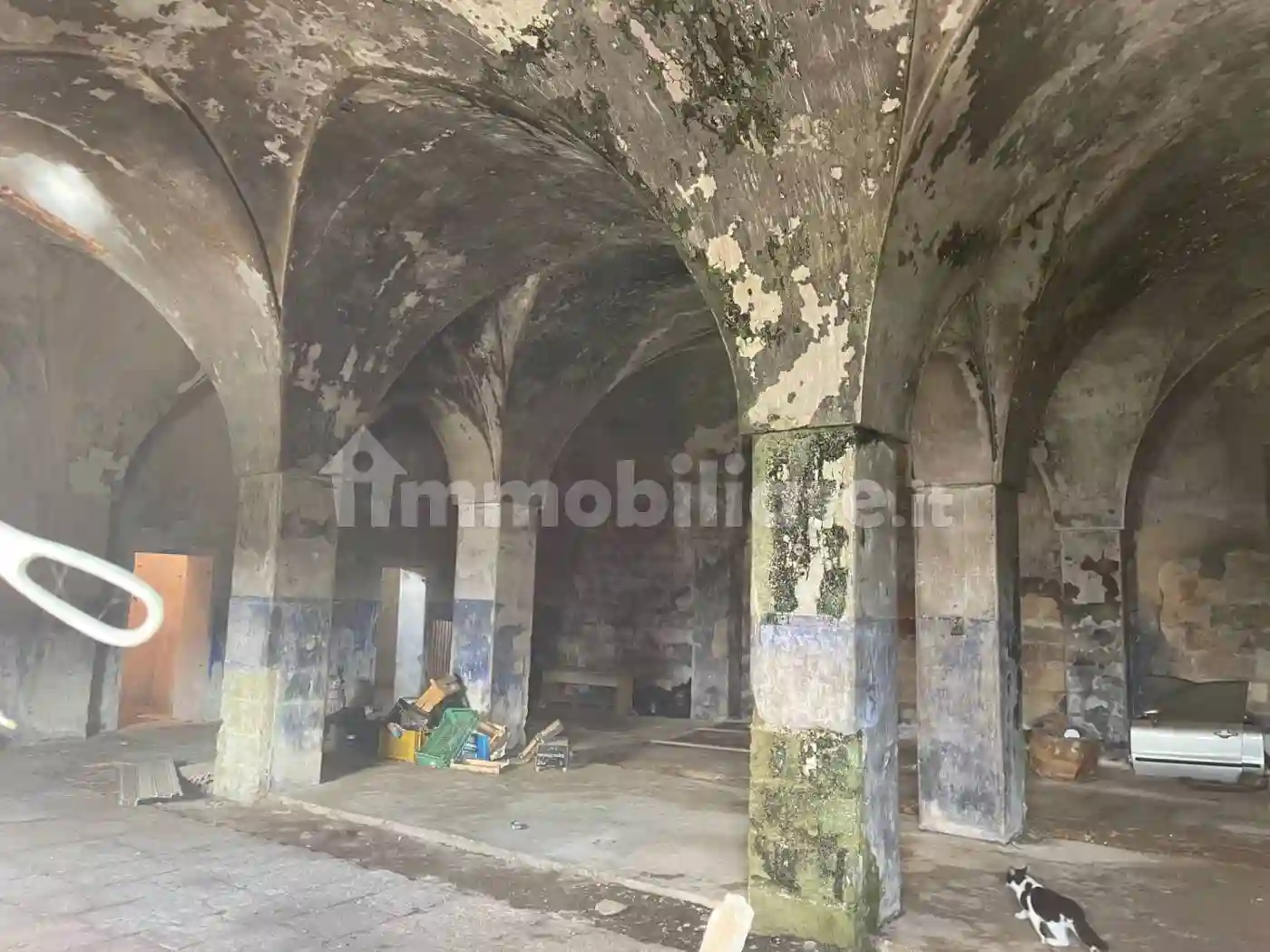 Rustico - Casale - foto 5